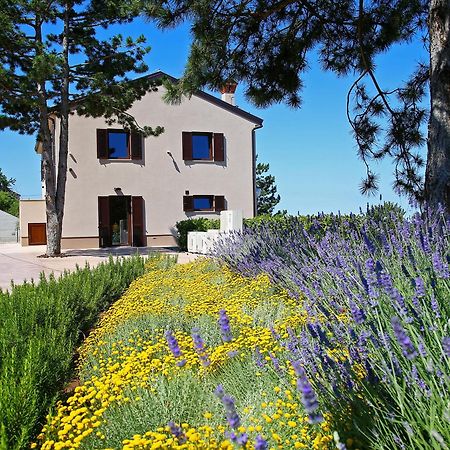 Luxury Villa Gradin Gračišče Buitenkant foto