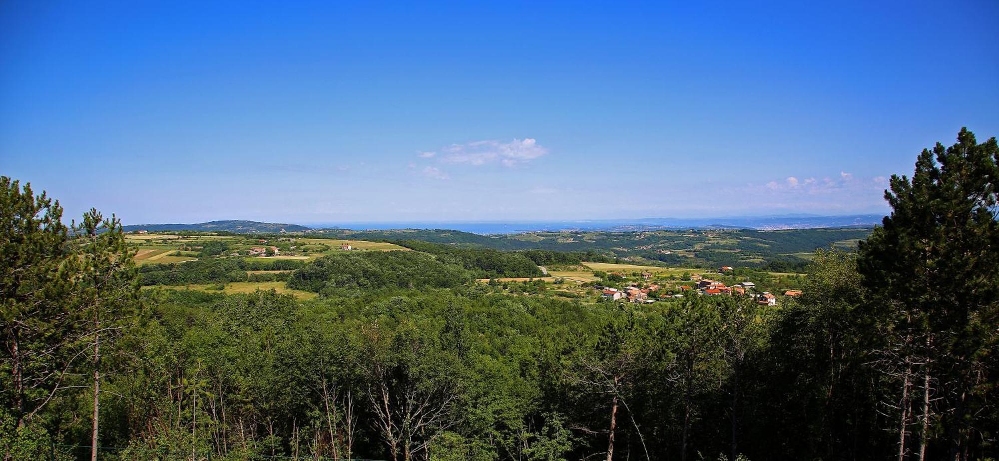 Luxury Villa Gradin Gračišče Buitenkant foto