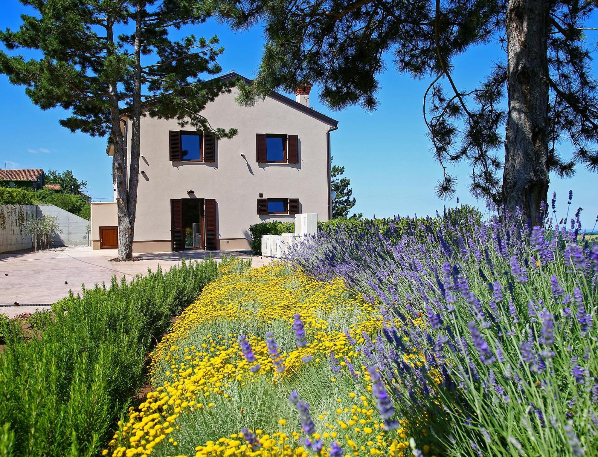 Luxury Villa Gradin Gračišče Buitenkant foto